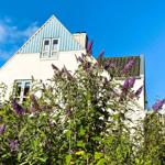 Haus mit blau-weißem Dach und lila Blüten im Vordergrund.
