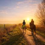 Zwei Personen reiten Pferde auf einem Feldweg bei Sonnenuntergang.