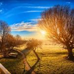 Blick auf einen sonnigen Feldweg mit Bäumen und einem Picknicktisch.