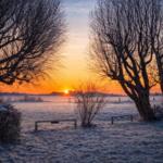 Frostiger Feldweg zwischen Bäumen bei Sonnenaufgang.
