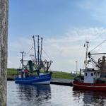 Zwei Fischerboote liegen im Hafen. Ein blaues mit DOR.5, ein rotes mit Masten.
