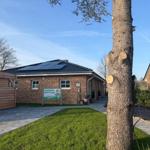 Ein Haus mit Solaranlage, grünem Rasen und einem großen Baum im Vorgarten.