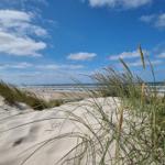 Beach with dunes and beach grass under blue sky with white clouds.