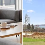 Wohnzimmer mit Couch und Tisch. Blick auf Grünfläche und See.