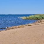 Strand mit Sand und Steinen, Wasser und Gras am Ufer, Windräder im Hintergrund.