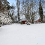 Snow-covered garden with trees and a red shed.
