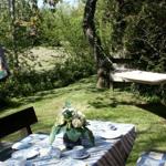 Garten mit gedecktem Tisch, Sonnenschirm und Hängematten unter Bäumen.