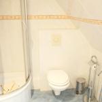 Badezimmer mit Dusche, Toilette und Handtuchhalter.