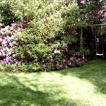 Garten mit Blumenhecke und Schaukel unter Bäumen.