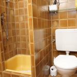 Bad mit Dusche, Toilette und Glasregal an der Wand.