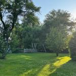 Grüner Garten mit Schaukel und Bäumen im Sonnenlicht.
