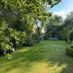 Grüner Garten mit Schaukel und Bank unter Bäumen.