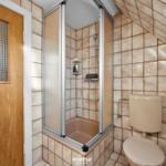 Badezimmer mit Dusche, Toilette und Holztür mit Glassteinfenster.