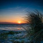 Sonnenuntergang über dem Meer mit Strandgras im Vordergrund.
