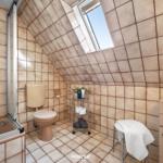 Badezimmer mit Dusche, Toilette und Dachfenster. Fliesenwand und -boden.