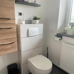 Toilette mit integriertem Waschbecken und Pflanzen auf Fensterbank