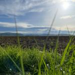 Grüngras im Vordergrund, dahinter Ackerland und Berge unter blauem Himmel mit Sonne.