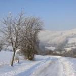 Schneebedeckter Weg durch eine winterliche Landschaft mit Bäumen und Hügeln.