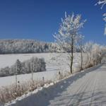 Schneebedeckter Weg durch winterliches Landschaftsbild mit Bäumen und Hügeln.