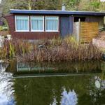 Haus mit Teich und Uferbereich mit Pflanzen und Gartenmöbeln