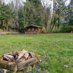 Hinterhof mit Holzhütte, Grillplatz und Garten. Umgeben von Bäumen und Grünflächen.