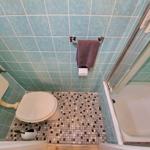 Badezimmer mit Toilette, Dusche und Mosaikboden
