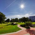 Sonniger Park mit Wegen, Bäumen und Wohngebäuden im Hintergrund.