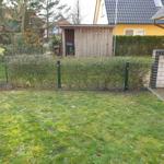Grüner Rasenbereich mit Zaun und Holzschuppen im Hintergrund.