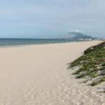 Weiterer Strandabschnitt mit Sanddünen und blühenden Pflanzen. Im Hintergrund ist ein Berg sichtbar.
