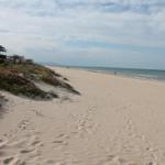 Weiterer Blick auf den Strand mit Sanddünen und blühenden Pflanzen