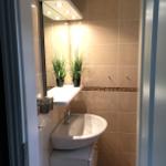 Badezimmer mit Waschbecken, Spiegel und Pflanzen.