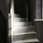 Treppenhaus mit weißen Stufen und dunklen Wänden. Eine Pflanze in einem blauen Topf steht auf der Treppe.