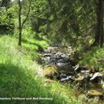 Ein schöner (und leichter) Wanderweg -Torfhaus-Bad Harzburg. 
Ab Radau-Wasserfall Buslinie 820 nach Bad Harzburg (wer nicht mehr laufen mag)