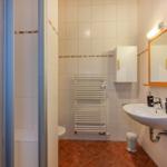 Badezimmer mit Dusche, Waschbecken und Heizkörper.