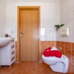 Badezimmer mit Waschbecken, Toilette und Pflanzen an der Wand.