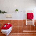 Badezimmer mit Toilette, Handtuchhalter und Fenster.
