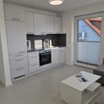 Küche mit weißen Schränken und integriertem Ofen. Wohnbereich mit grauem Sofa und Fenster.