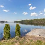 Holzsteg führt zu ruhigem See mit Wald im Hintergrund.