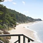 Beach with sand and trees by the sea under blue sky.