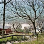 Path down to the beach with view of the sea and trees.