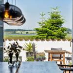 Terrace with table and chairs, view of green landscape and a lake.