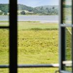 View from a window onto a lake and green meadows with white herons.