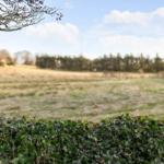 Grüner Heckenrand im Vordergrund, dahinter weites Feld und Wald im Hintergrund.