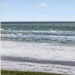 Ocean with waves and many seagulls, viewed through a window.