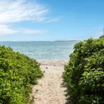 Sand path leads through greenery to beach and sea with view of island.