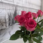 Bouquet aus roten Rosen vor einem schwarz-weißen Wandbild.