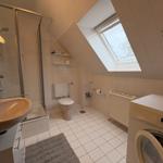 Badezimmer mit Dusche, Toilette, Waschmaschine und Dachfenster.