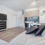 Wohn- und Küchenbereich mit Sofa, Fernseher und Holzboden.