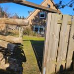 Hinterhof mit Holzzaun und Blick auf Haus mit Fenstern.