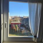 Durch das Fenster blickt man auf einen Garten mit rotem Holzschuppen und einem Zaun.